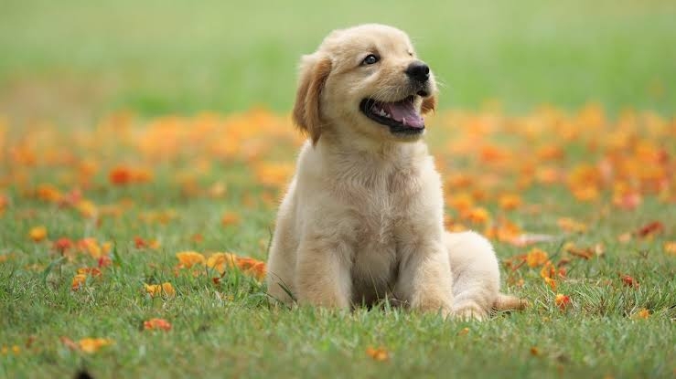 A Joyful Moment in Nature