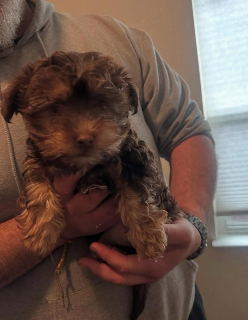 I need a name for this baby please help me name her