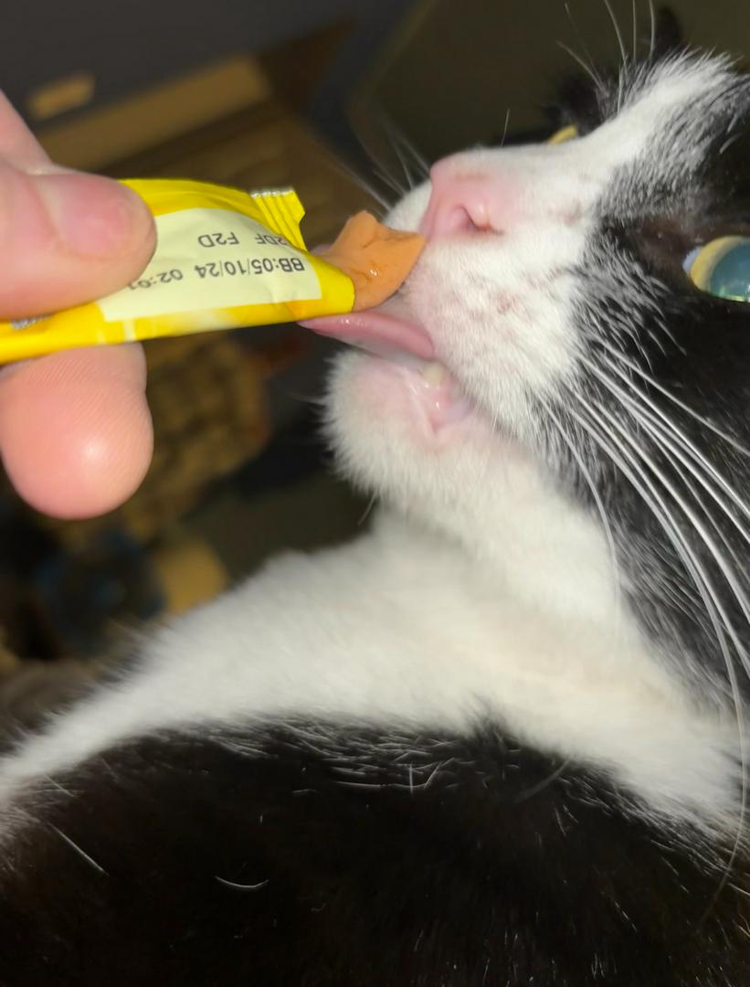 Treat time 😻