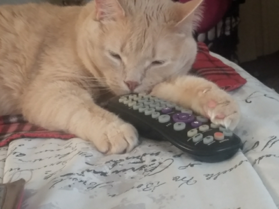 Where's the remote?