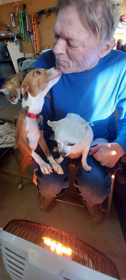 D.O.G. and Murphy A friend for life. These 2 antagonize each other, but they love each other. They a