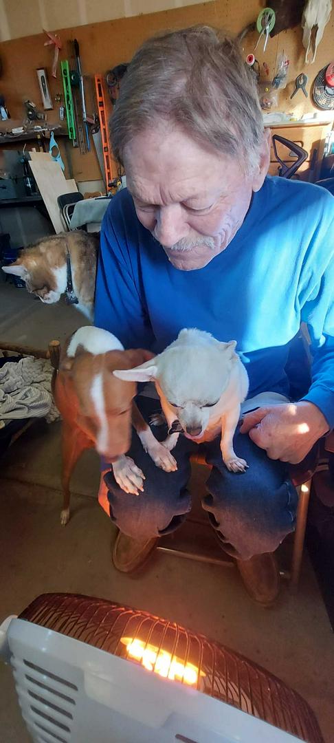 D.O.G. and Murphy A friend for life. These 2 antagonize each other, but they love each other. They a