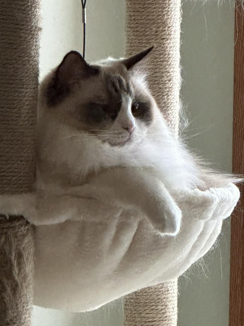 Just Contemplating Our Next Moves - While Resting From the Last 
