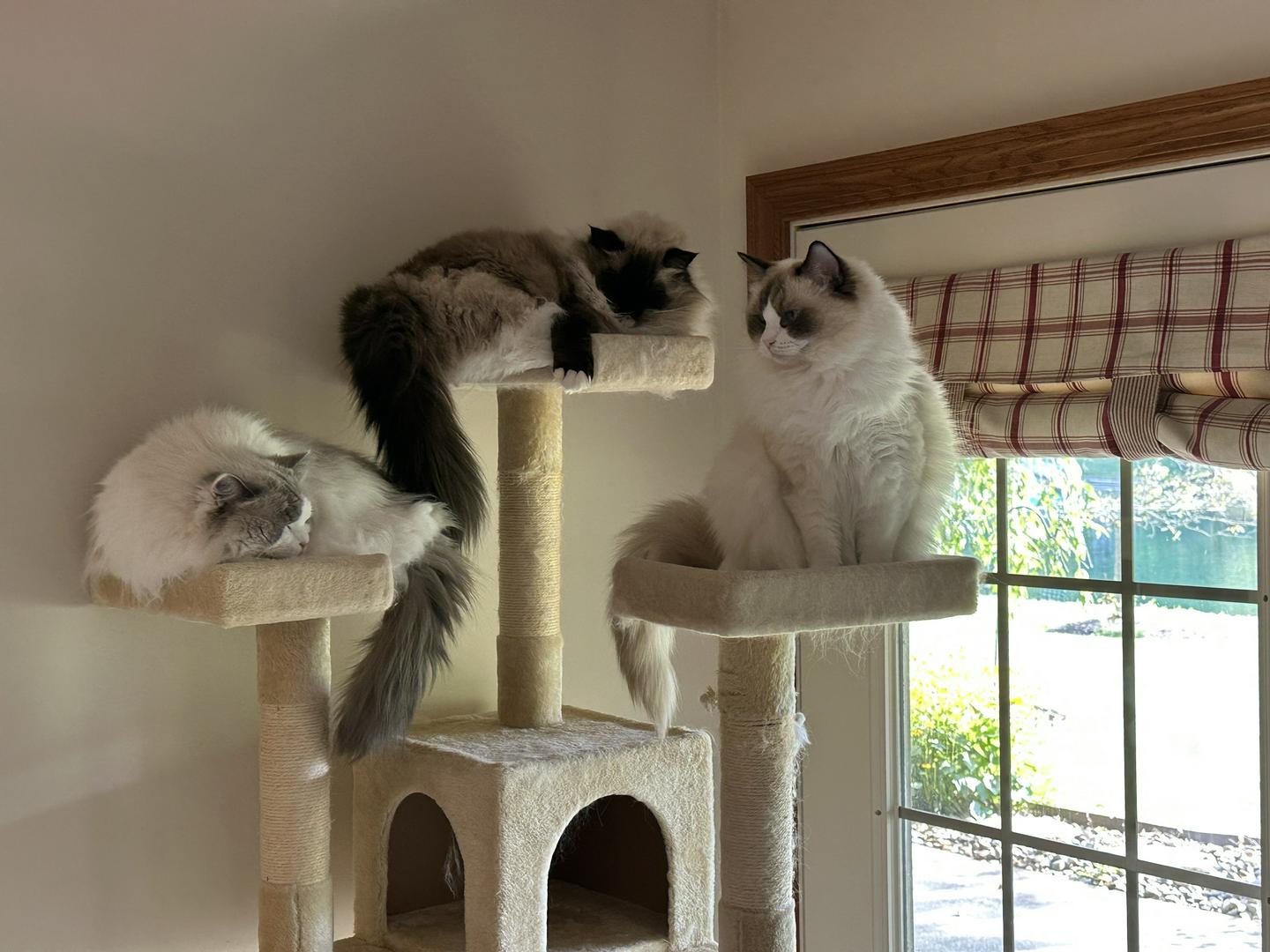 Just Contemplating Our Next Moves - While Resting From the Last 