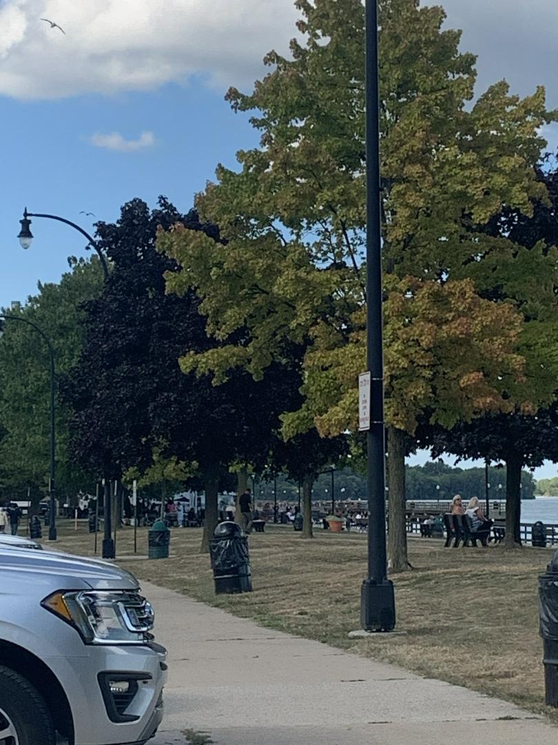 Summer don’t go…I absolutely love the fall but I’m not quite ready for it yet 😢🍂