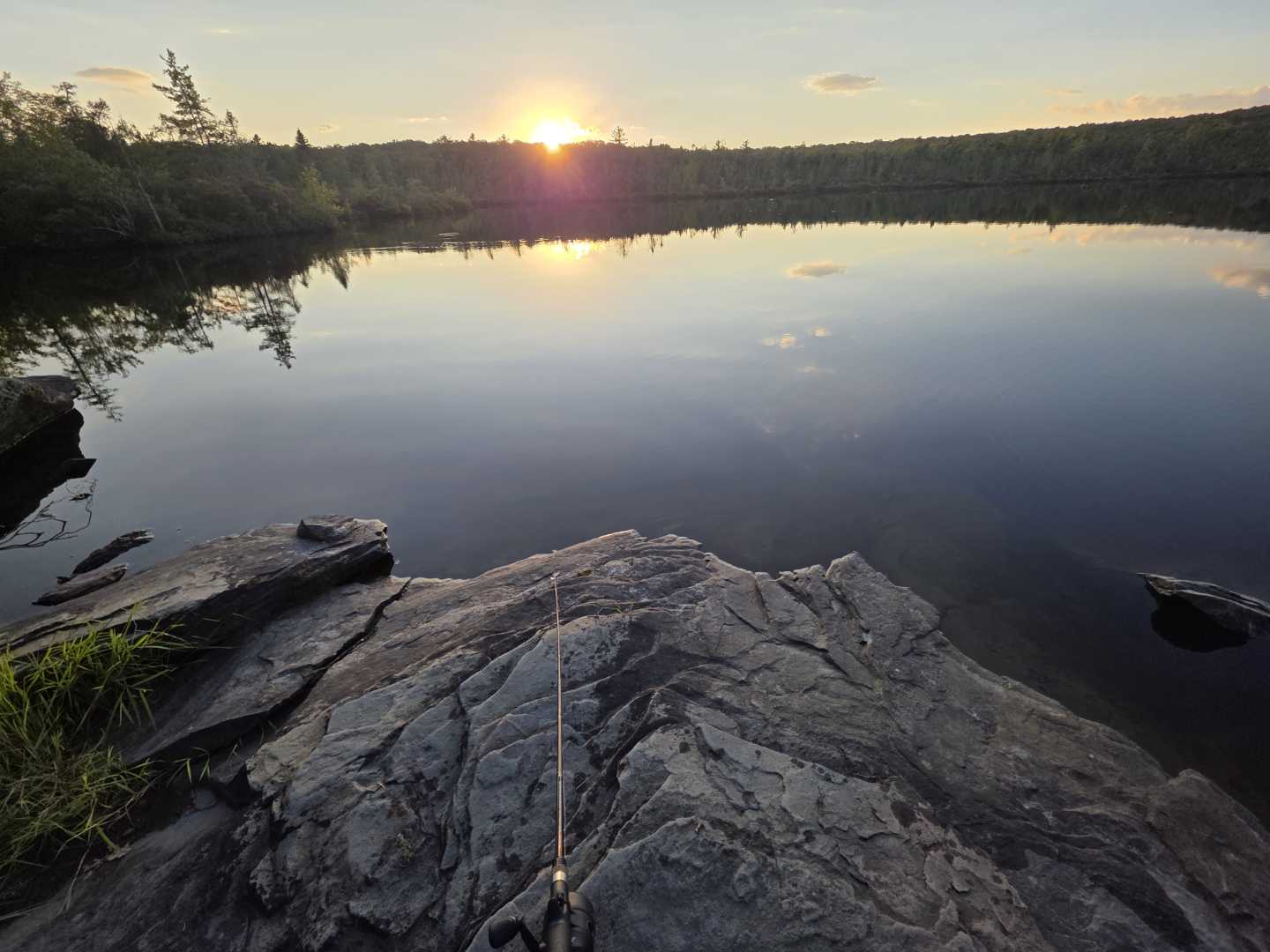 Nature resets everything. 🌿☀️ #LakeLife