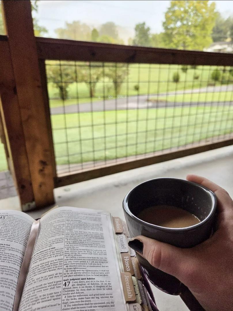 How to spend a weekend...🌿