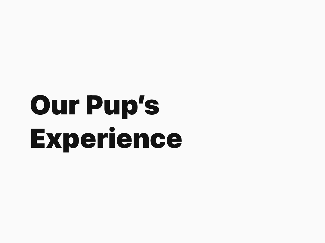 Our Pup’s Experience 