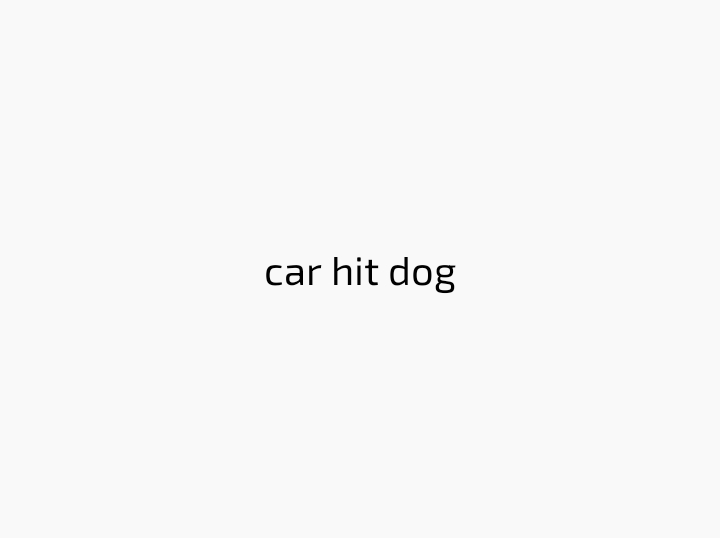 car hit dog