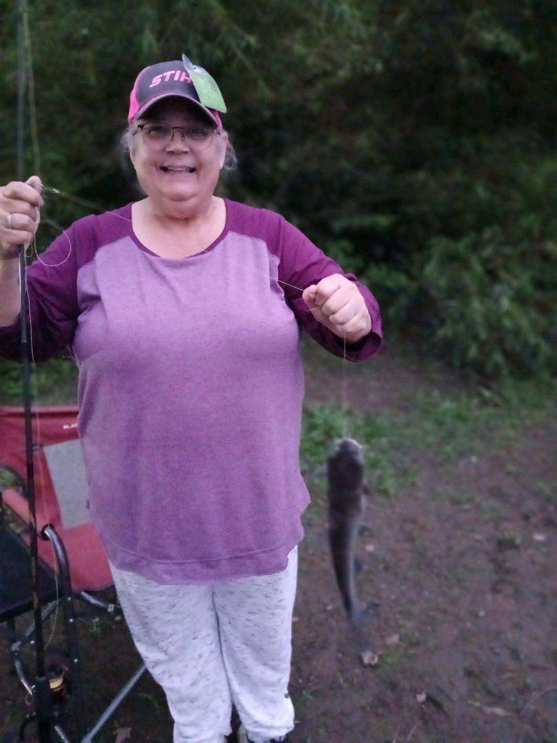 Cat Fishing