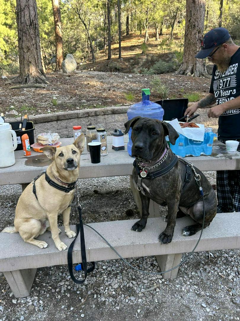 Mt Lemmon AZ ,August, 2025