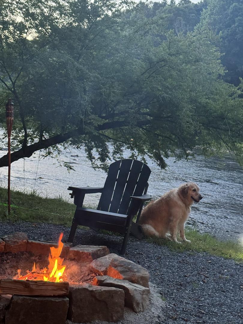 Camping in the mountains with our dog ❤️