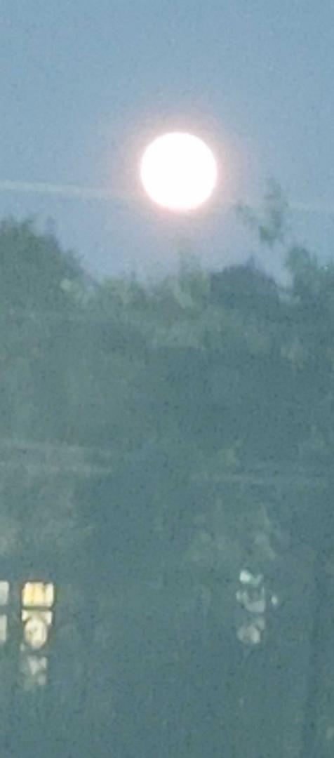Summer Solstice 2025 memory