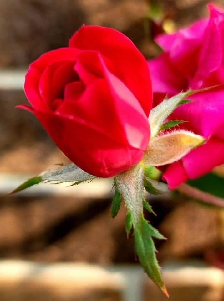 Beautiful prayer today, 
Lets pray