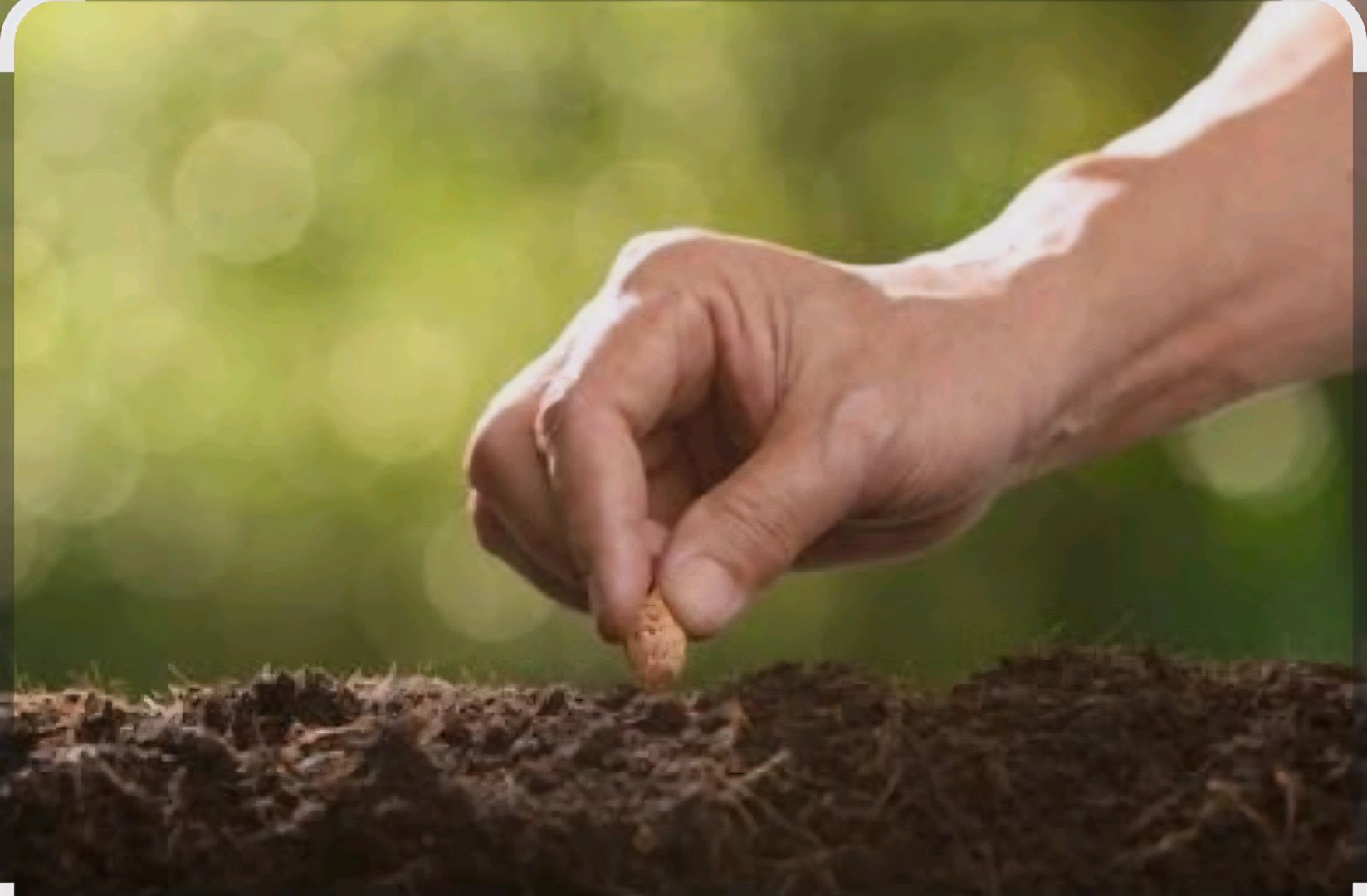 Faith Over Fear: Don’t Wait for Perfect Conditions