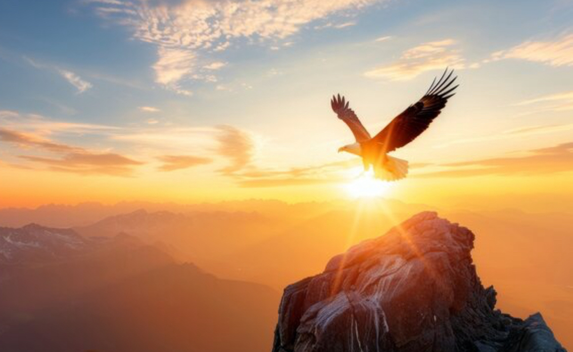 WHEN GOD BECOMES YOUR WINGS