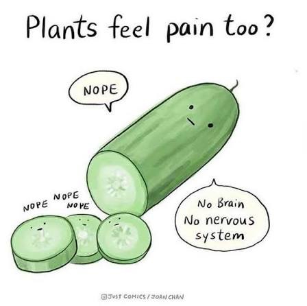 The question of whether plants can experience pain has garnered significant attention