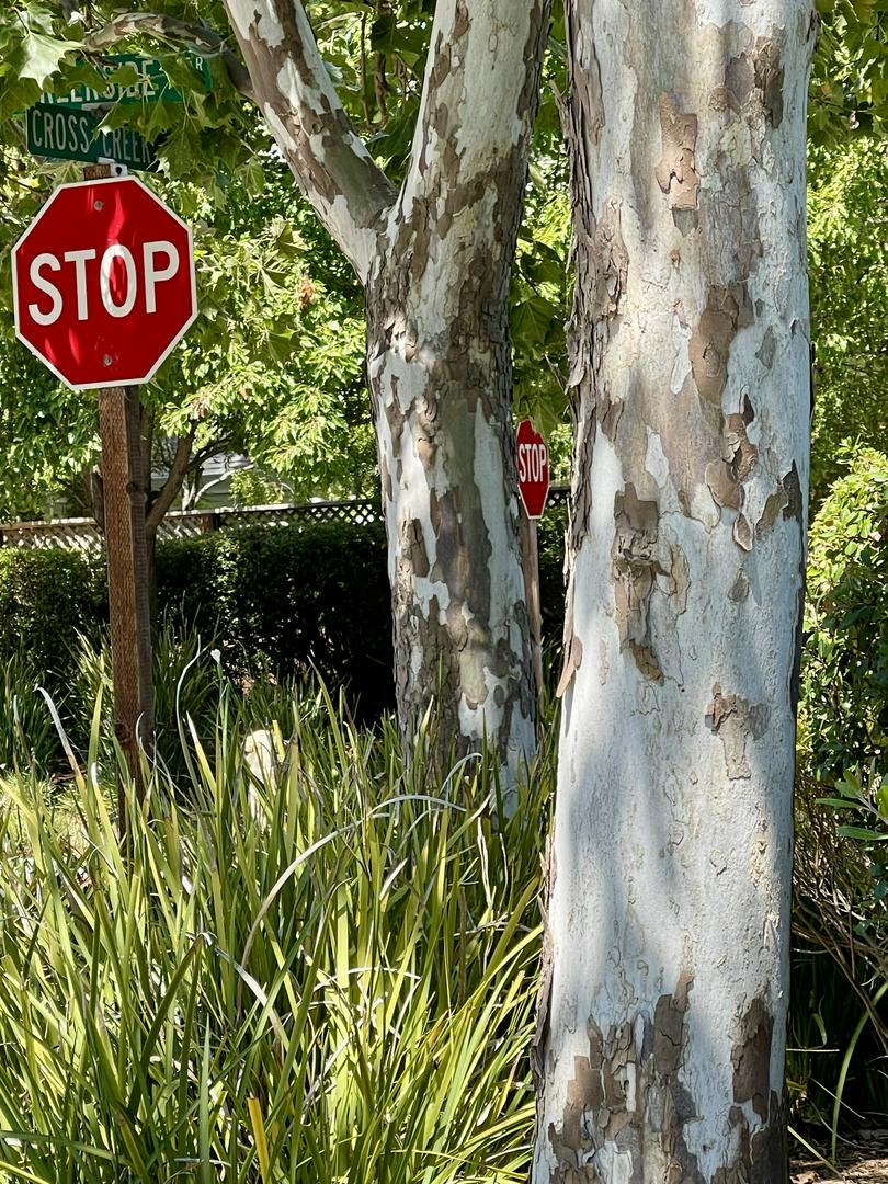 Stop! Take a moment… Just one… breathe. Reset. It’s all good. Resume…