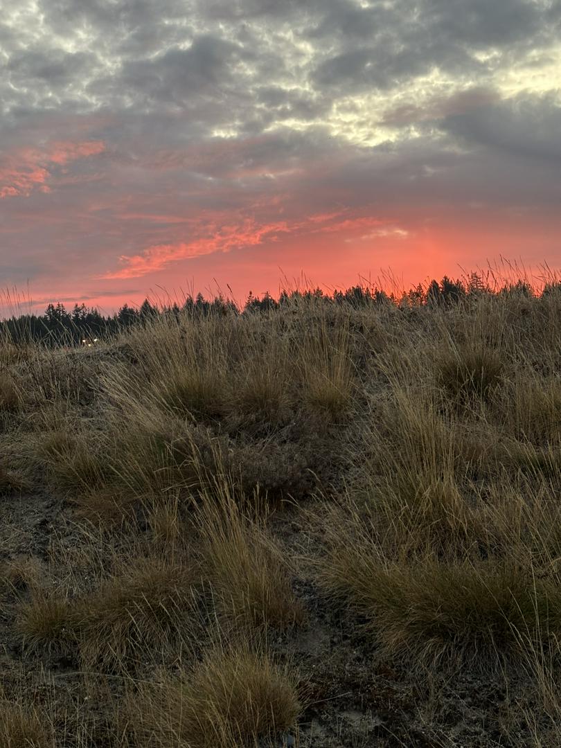 My journey through hell

I am 60 years old, tired, wore out, down, out depressed, PTSD, bipolar man
