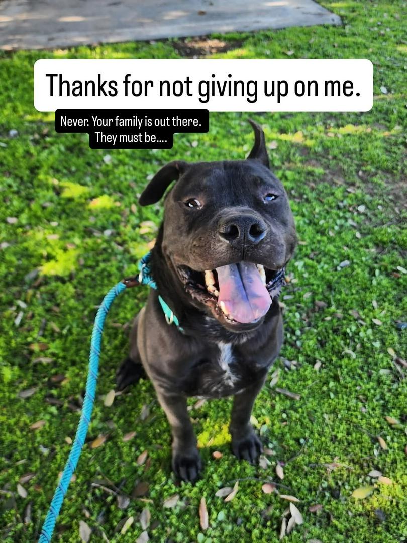 Meet Peanut: Professional Cuddle Monster and Certified Heart Thief