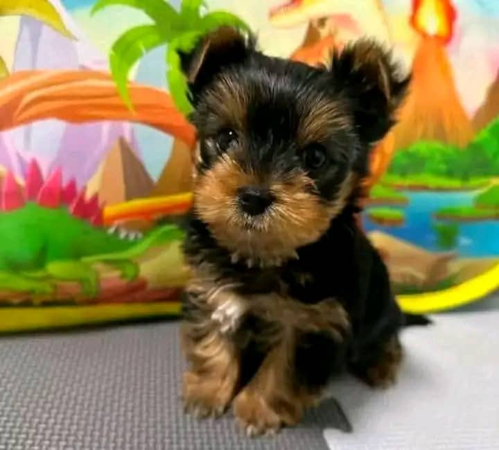 My baby needs a name please help me with one 