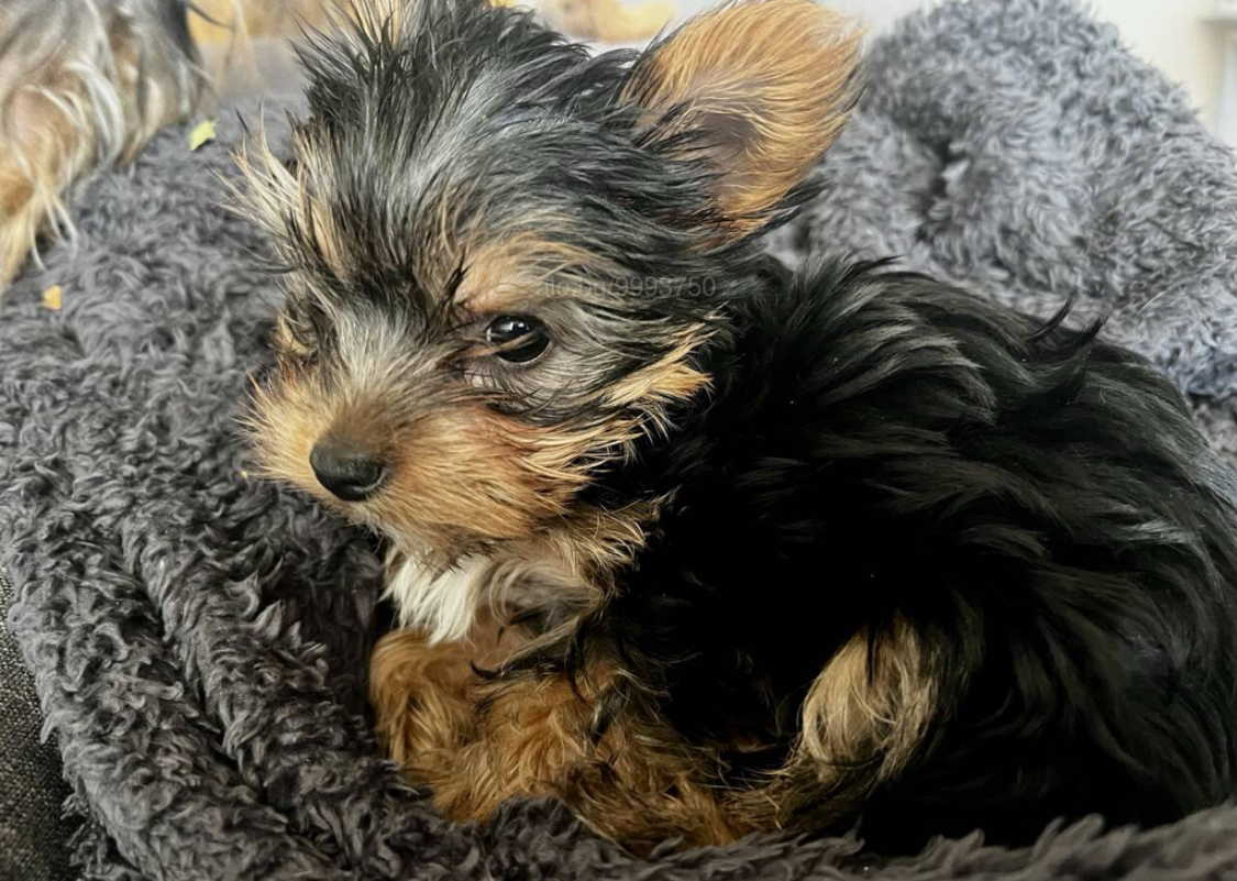 We need a place to stay 