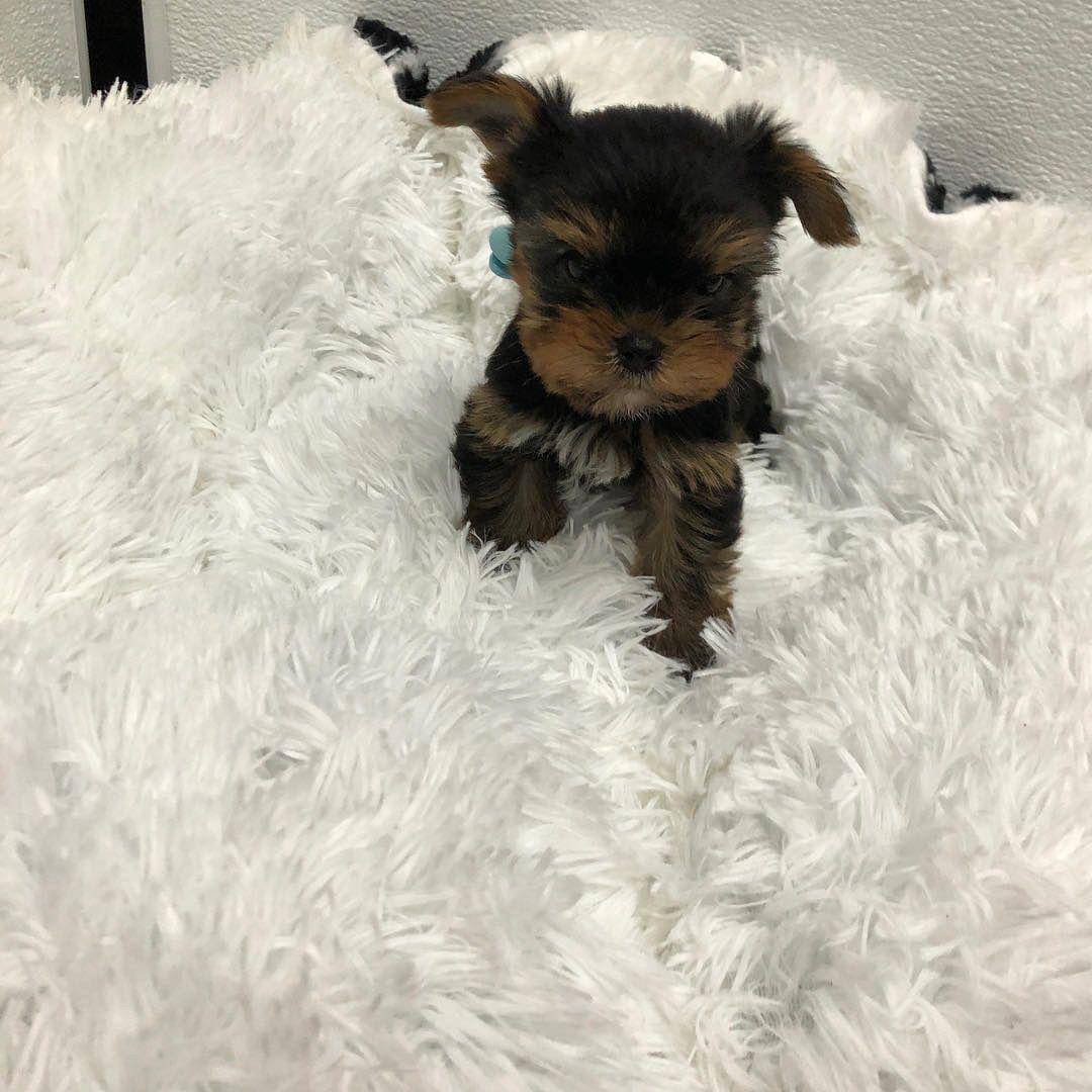 I need a place to stay very badly 