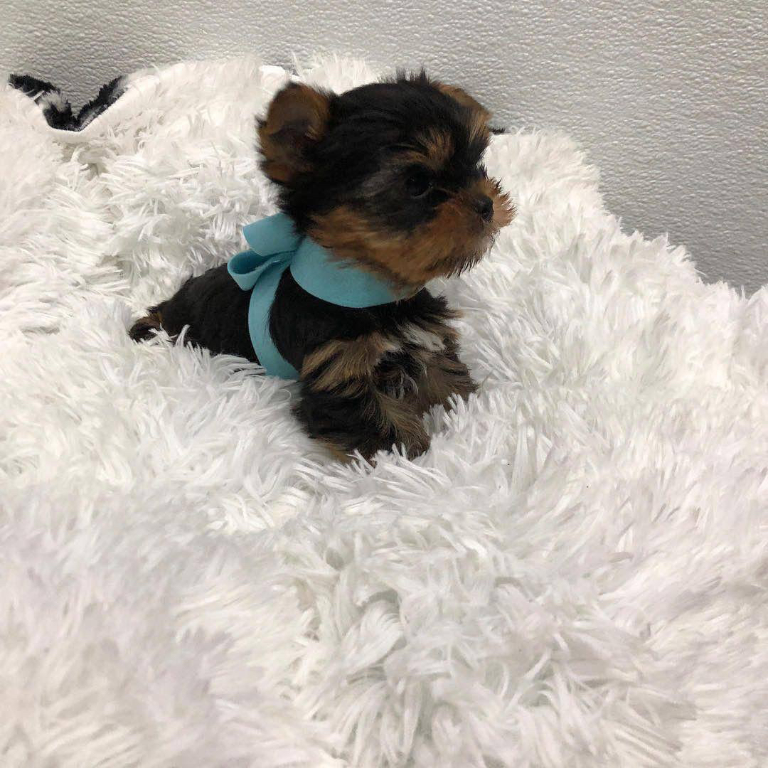 I need a place to stay very badly 