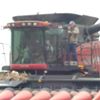 Larry Hile