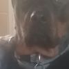 MAB