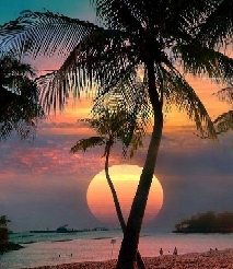 Sunset Breeze