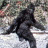 The 5quatch
