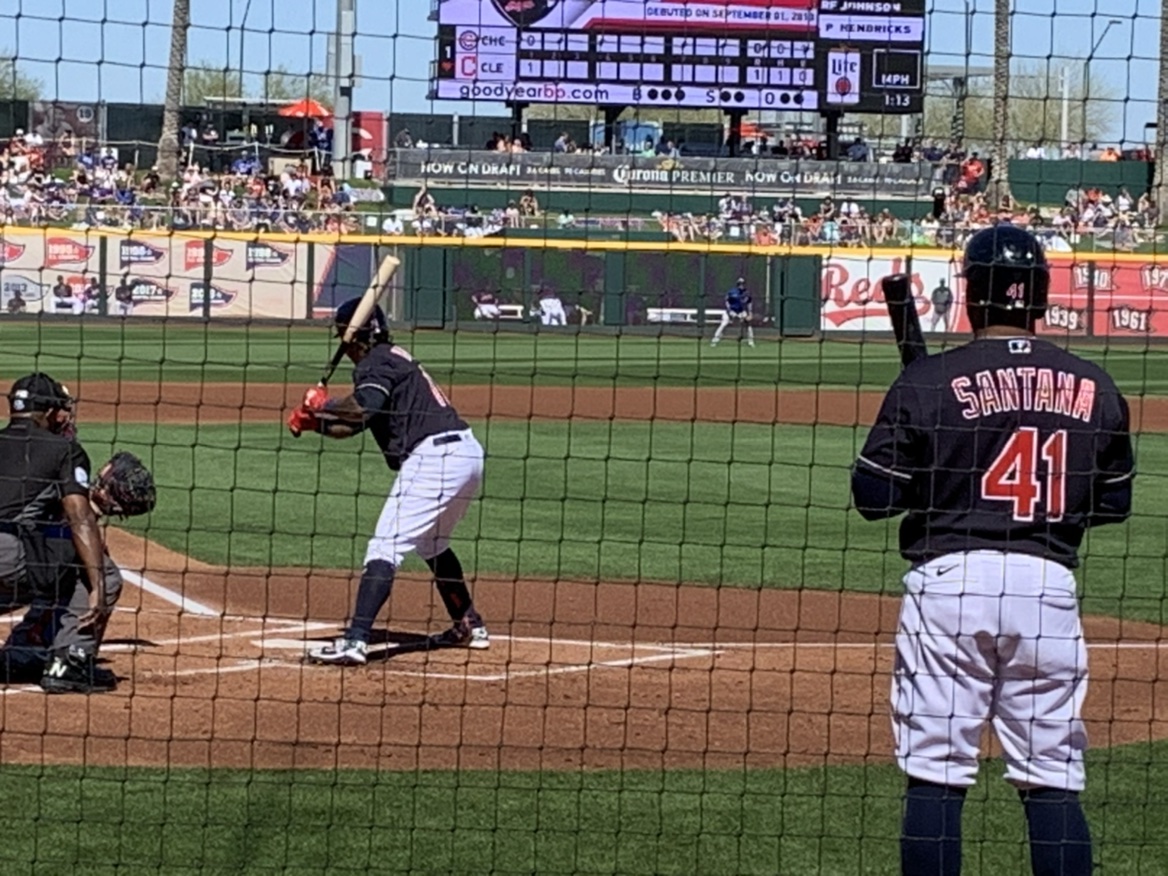 TribeFan1