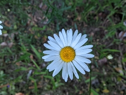 BeTheChange