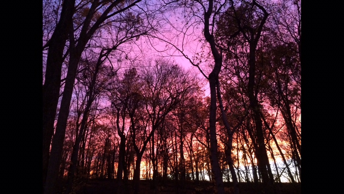 Dawn