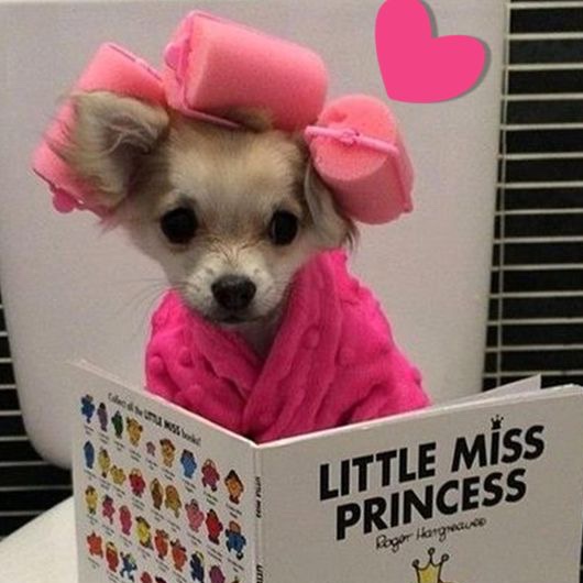 princess