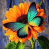 Pam Whisenant