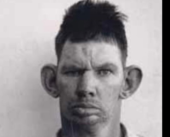 uncle donkey