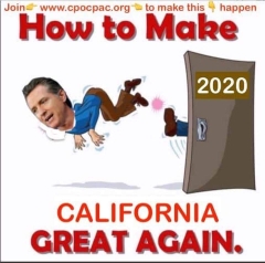 Gavin Newsom Sucks