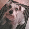 Betsy