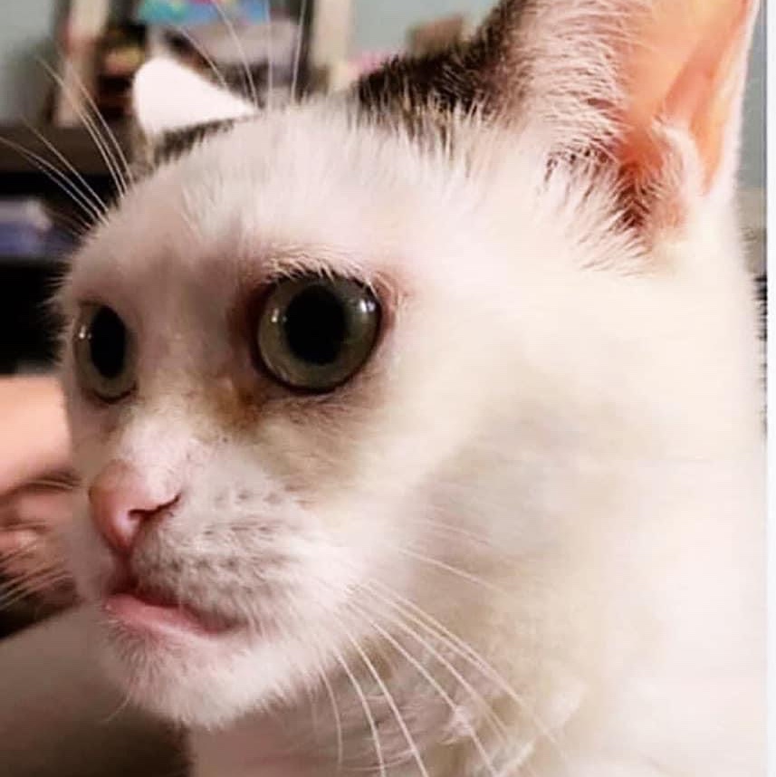 Poofbegone