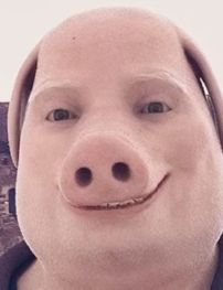 John Pork, Floptok Wiki