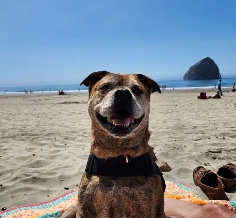B I L L