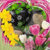 Vickie Borders