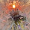 Danette Byerly