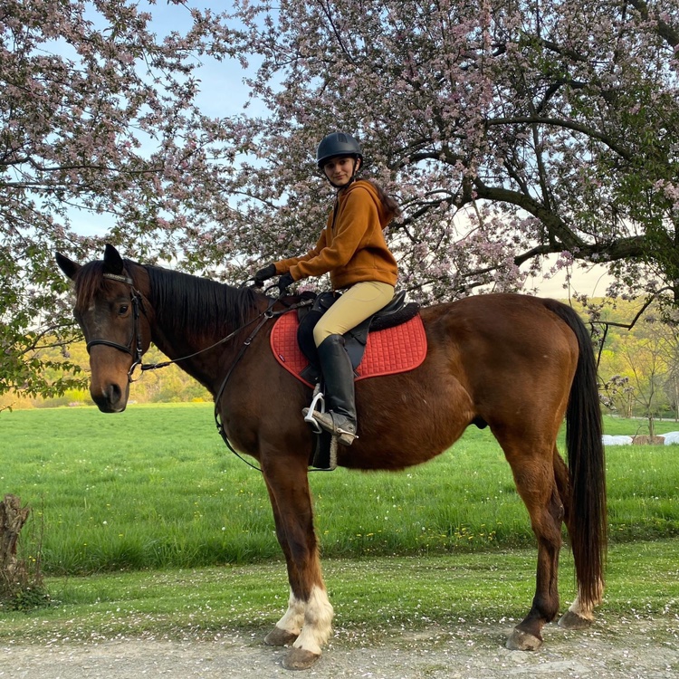 mimirenard601