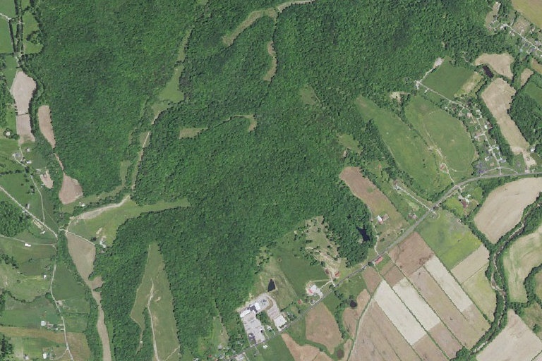 Medical Emergency For Woman With Ankle Pain After Fall 85.21419 