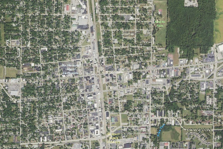 Man with diabetes has seizure at carbondale apartment Carbondale IL