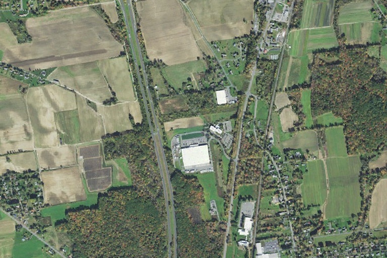 Christmas trees lee road deerfield ma