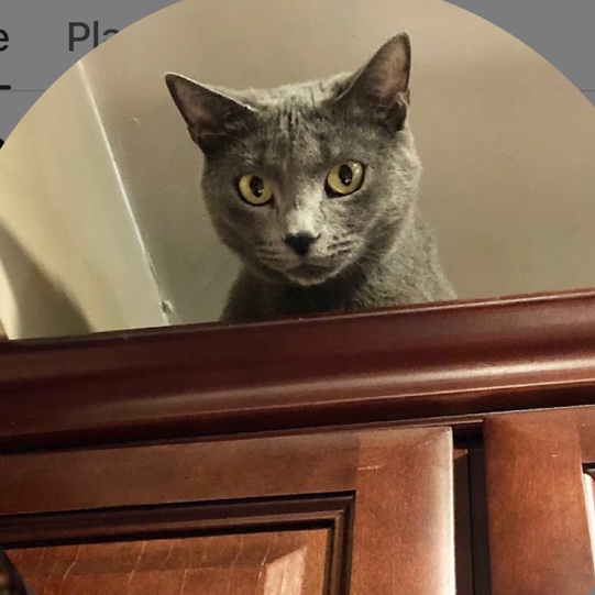 Just Looking
